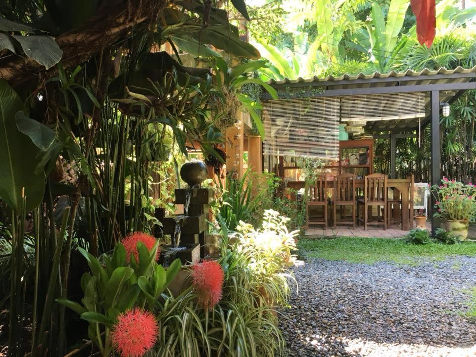 Breeze of Pai Pensión Exterior foto